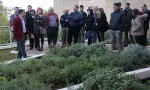 . Participants being shown around the demo green roof ii